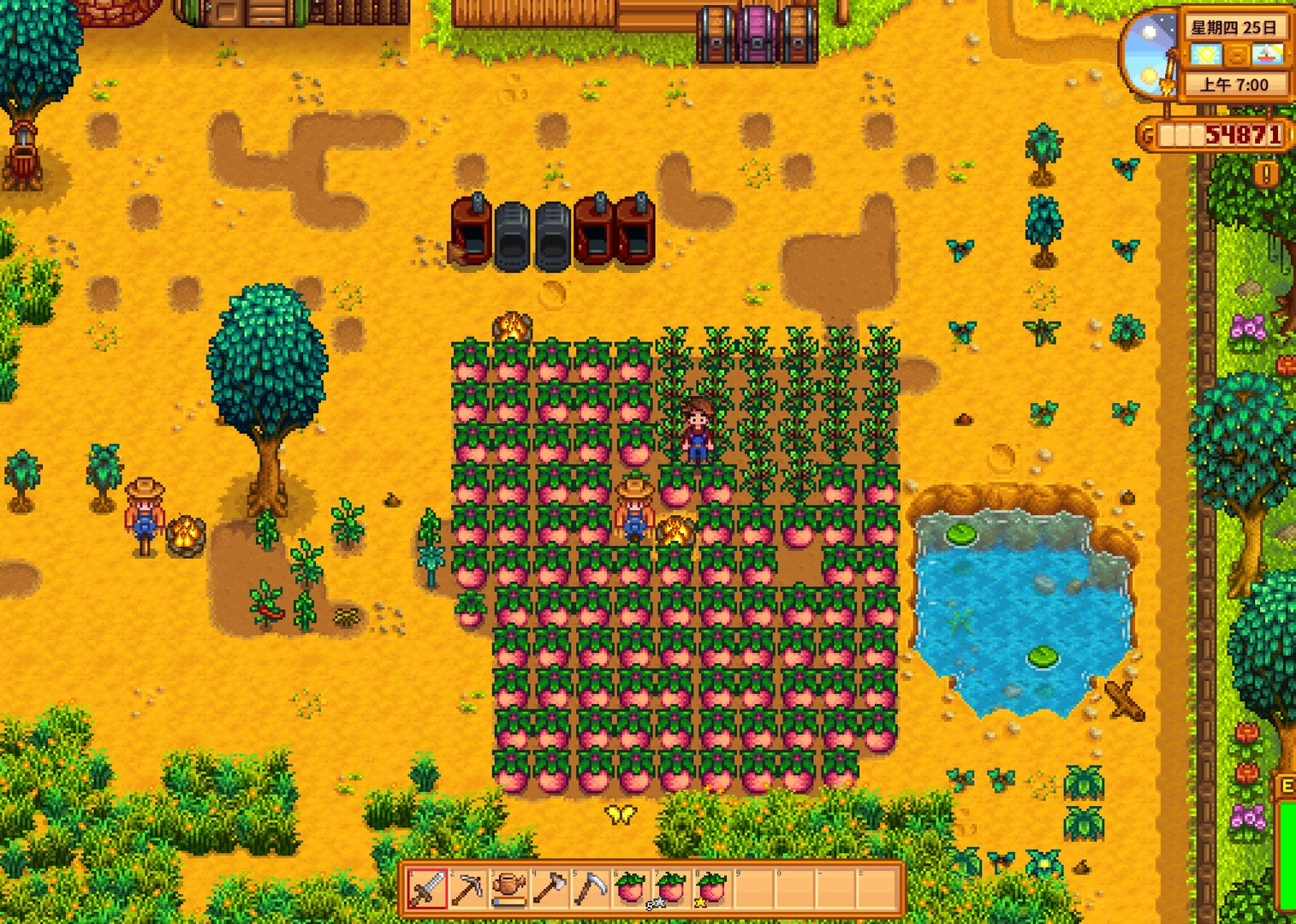 艾尔登法环 豪华版 截图10